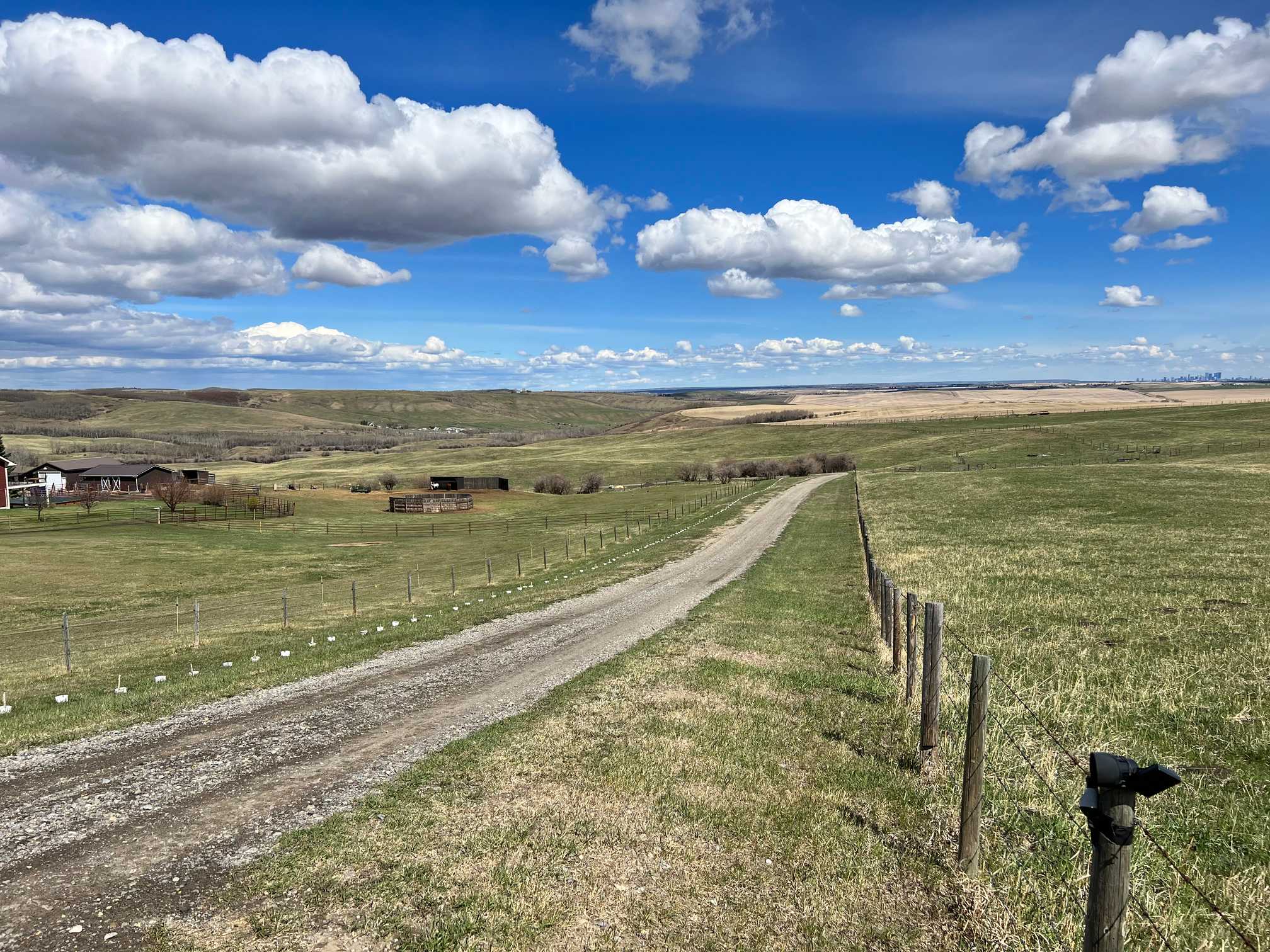 5 Star Bed and Breakfast Near Calgary, AB Alberta B&B Retreat Misty