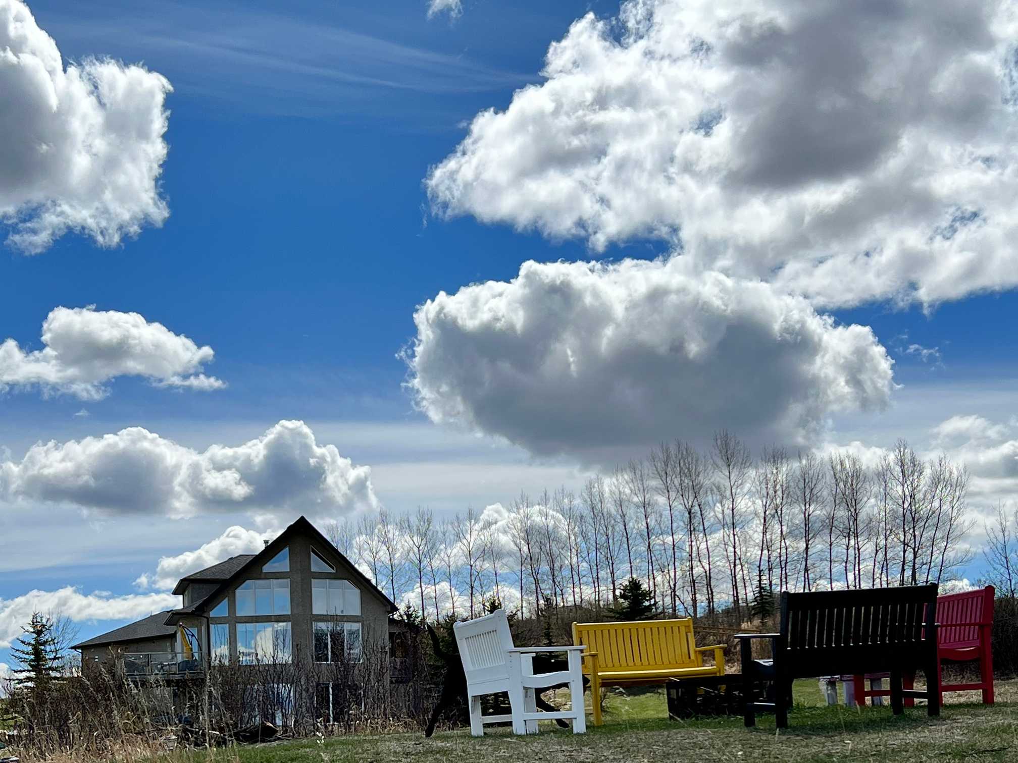 5 Star Bed and Breakfast Near Calgary, AB Alberta B&B Retreat Misty